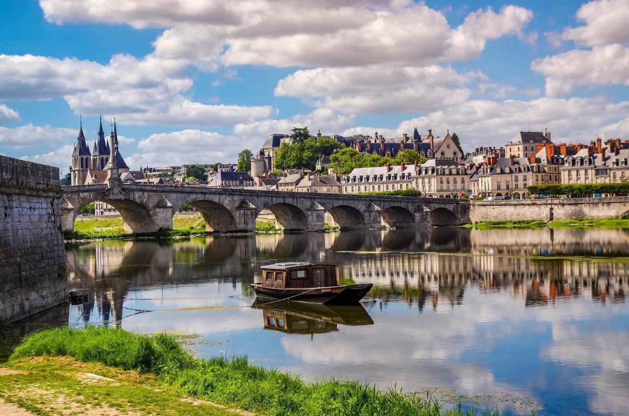 Coeur De Loire Appartement Blois